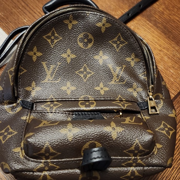 LOUIS VUITTON Palm Springs Mini Backpack - Picture 7 of 12